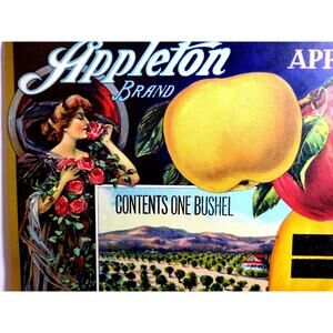 Appleton Apples Fruit Crate Label Art Nouveau Women Rose Original Vintage 1920's